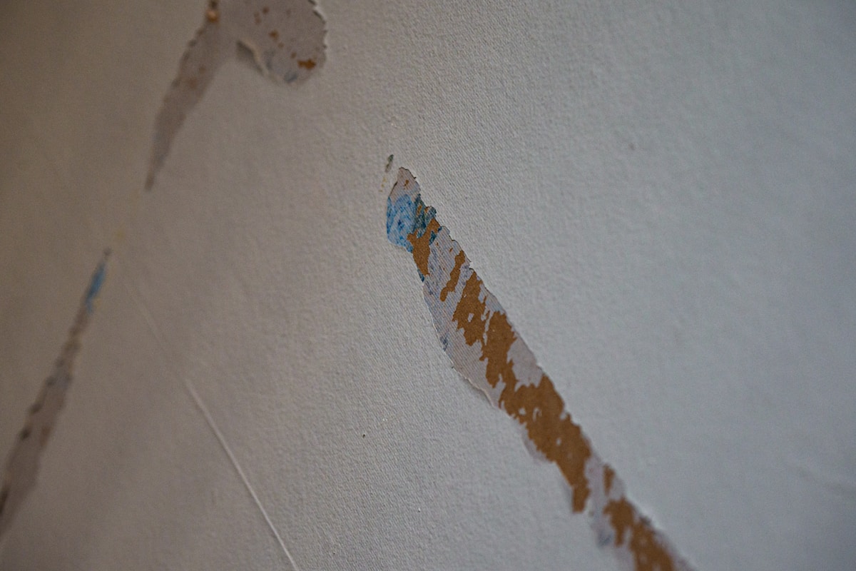 Mold Remediation service in Springfield, OH